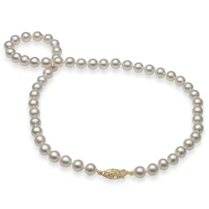18-19" Akoya White Pearl Strand with Gold Clasp - 7-8mm