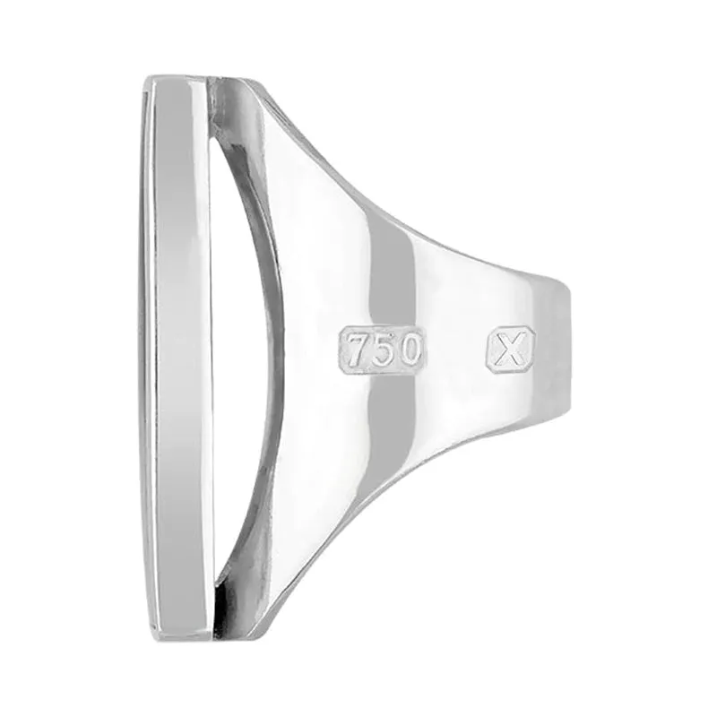 18ct White Gold Blue John Hallmark Large Oblong Ring