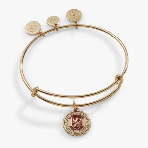 Harry Potter? Gryffindor House Charm Bangle