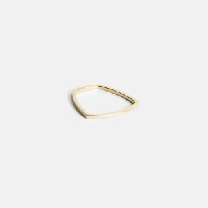 Ilga Ring
