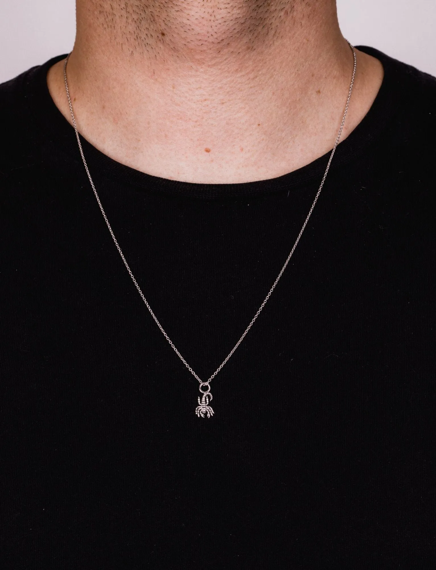 IX Scorpion Silver Pendant