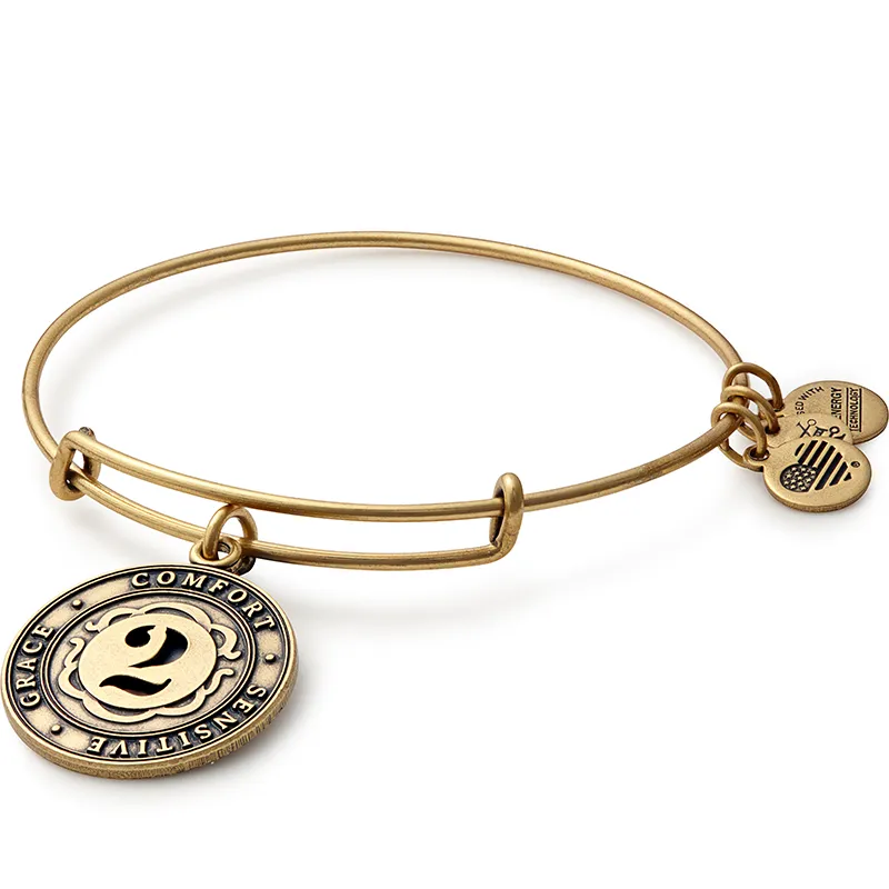Number 2 Charm Bangle Bracelet
