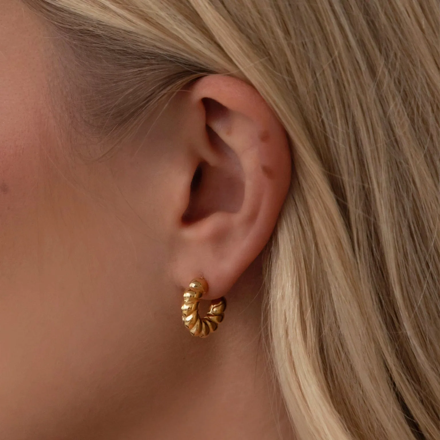 Sofia Hoop Earrings