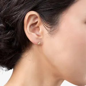 Star Earrings