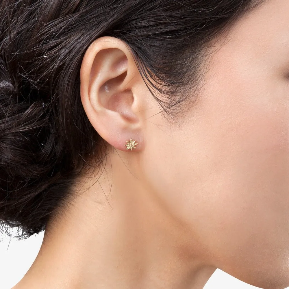 Star Earrings