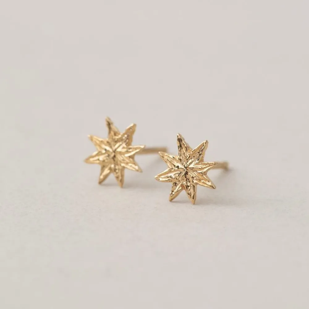Star Earrings