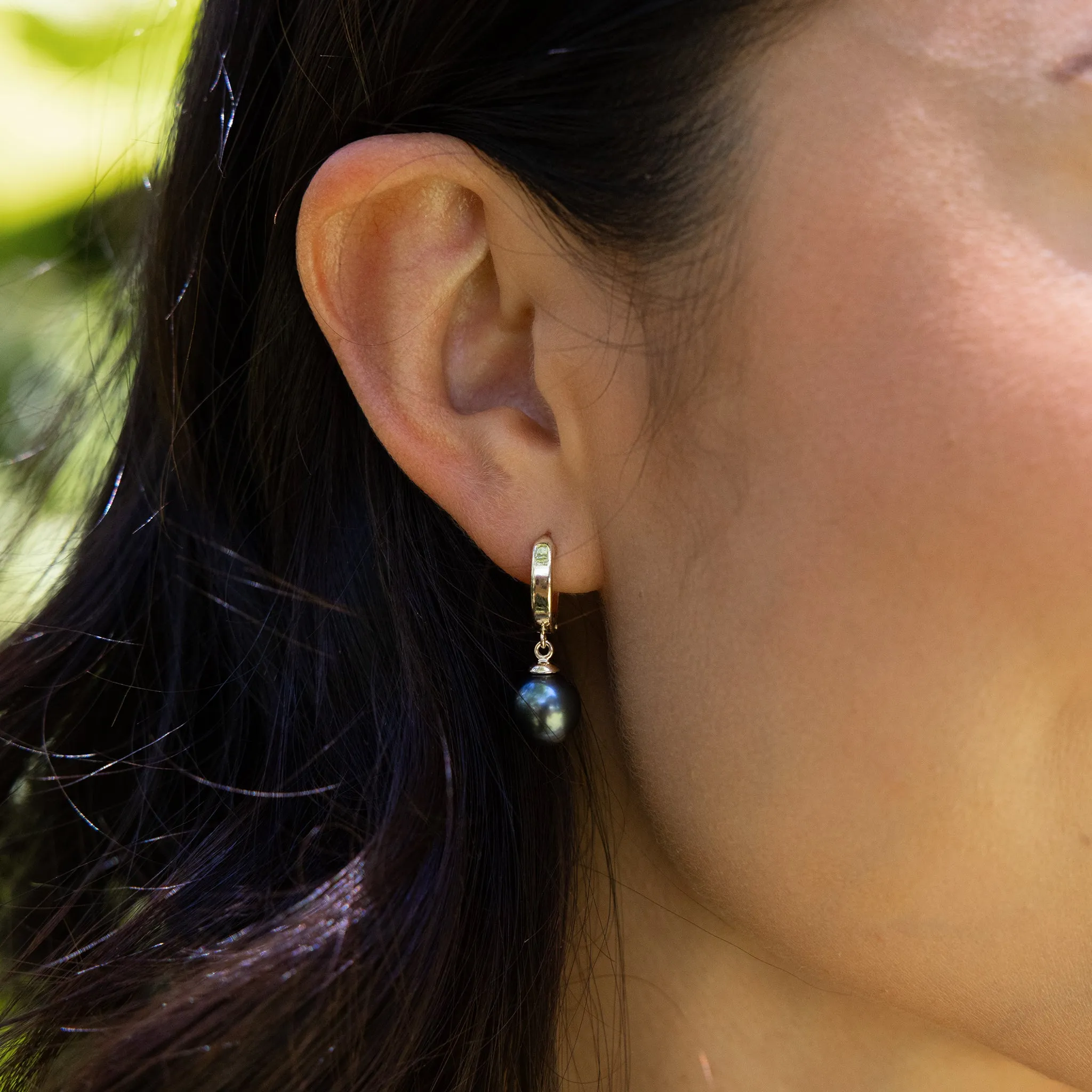 Tahitian Black Pearl Earrings in Gold - 9-10mm