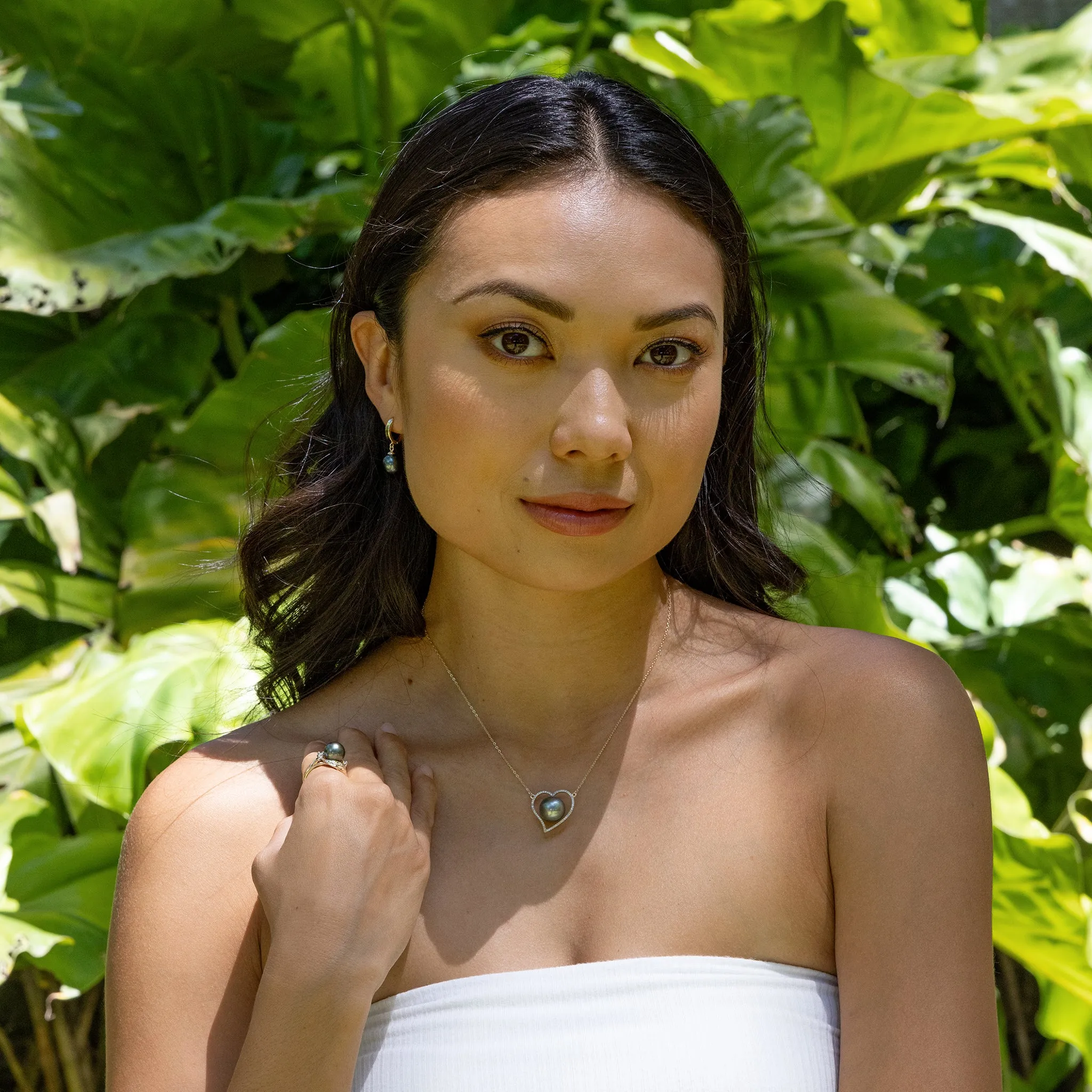 Tahitian Black Pearl Earrings in Gold - 9-10mm