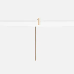 Tili Long Earring